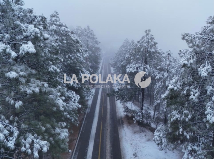 No Todo es Ejecuciones